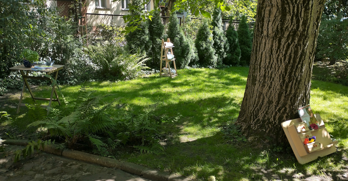 Fotorelacja z realizacji projektu